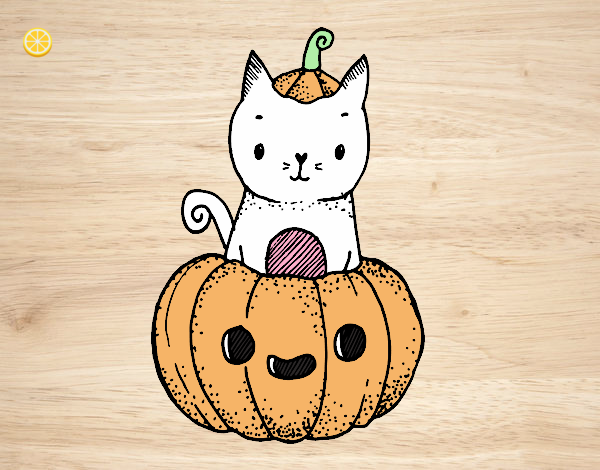 Un gatito de Halloween