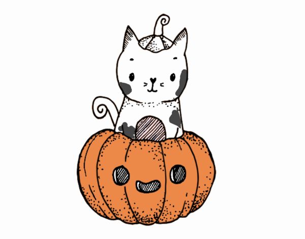 Un gatito de Halloween