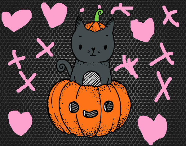 gatito  de hallowen