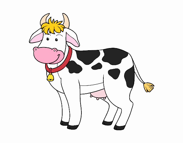 Vaca de granja