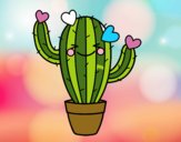 Cactus corazón