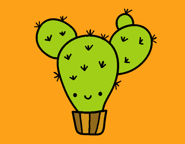 Cactus nopal