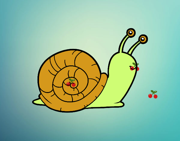 El caracol