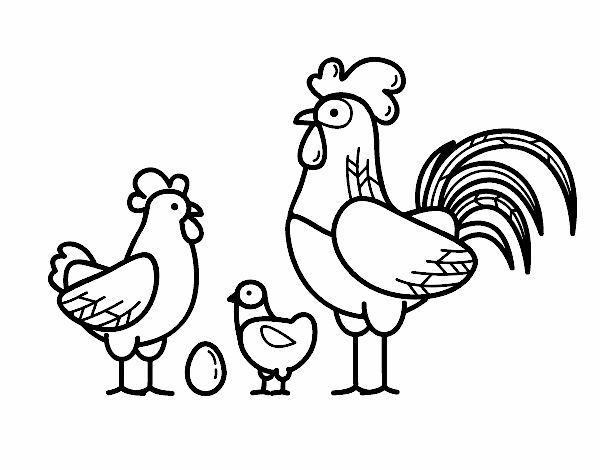 Familia gallina