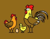 Familia gallina