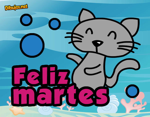 Feliz martes