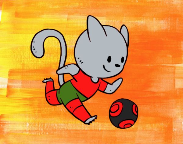 Gato jugando a fútbol