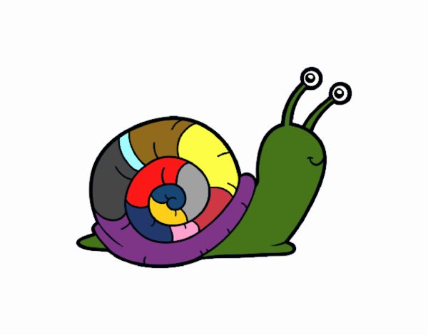 Un caracol