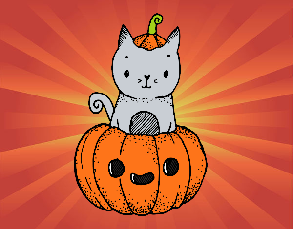 Un gatito de Halloween