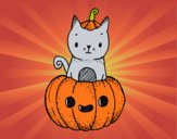 Un gatito de Halloween