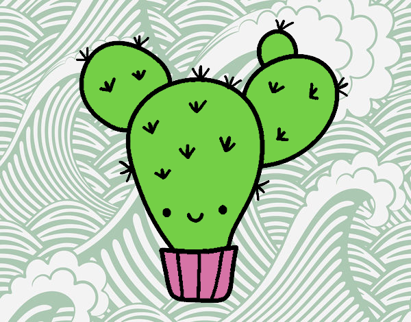 Cactus nopal