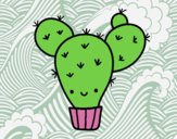 Cactus nopal