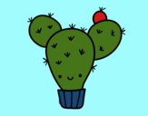 Cactus nopal