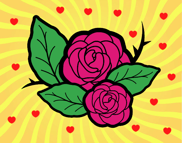 Dos rosas