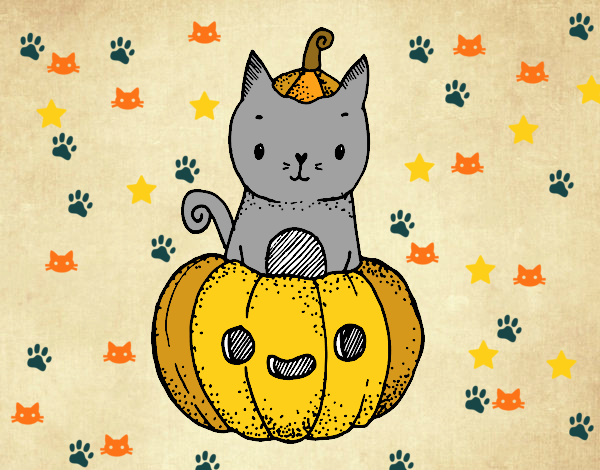 Un gatito de Halloween