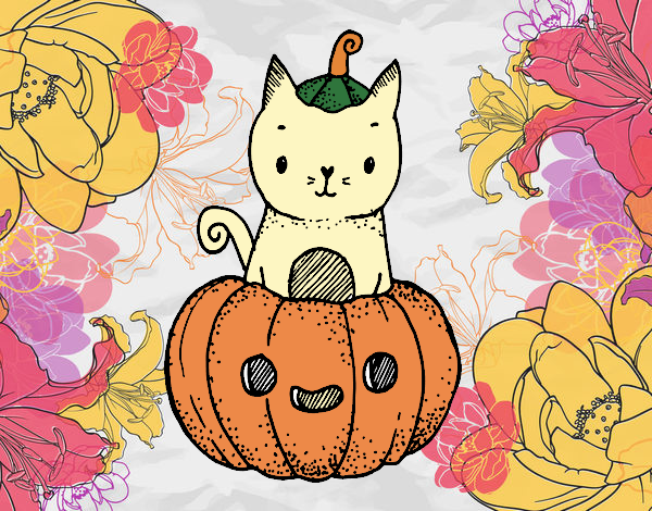 Un gatito de Halloween