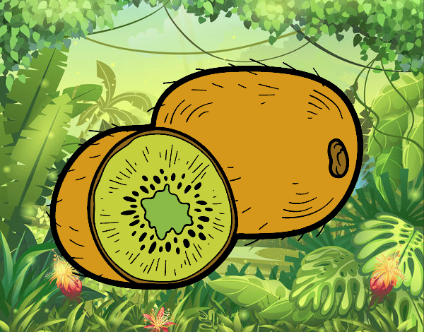 El kiwi