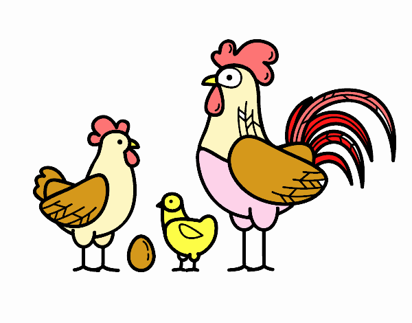 Familia gallina