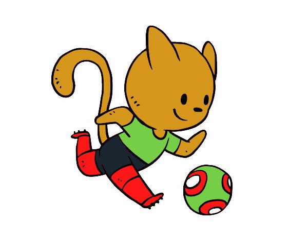 Gato jugando a fútbol