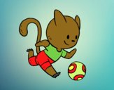 Gato jugando a fútbol