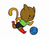 Gato jugando a fútbol