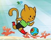 Gato jugando a fútbol