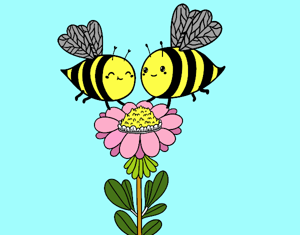 Pareja de abejas