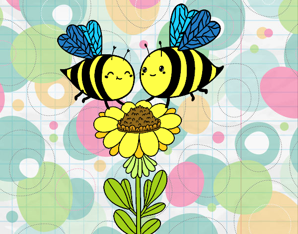 Pareja de abejas