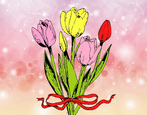 tulipanes 