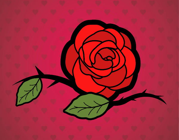rosa roja 