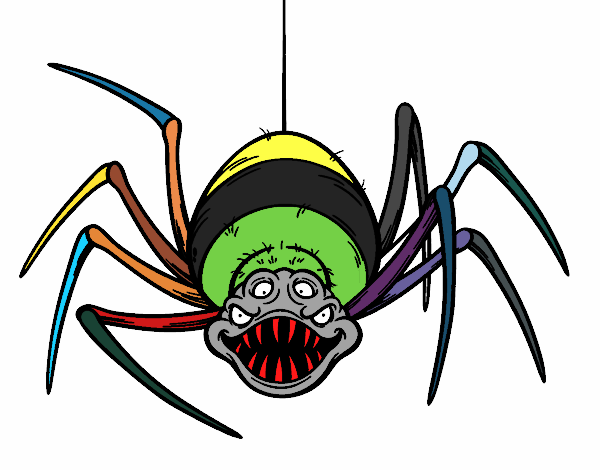 tarantula  de colores.