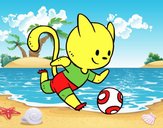 Gato jugando a fútbol