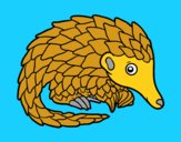 Pangolin