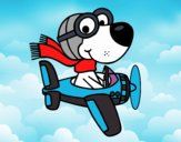 Perro piloto