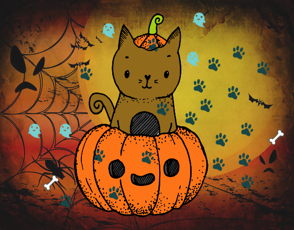 Un gatito de Halloween