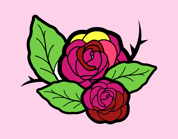 Dos rosas