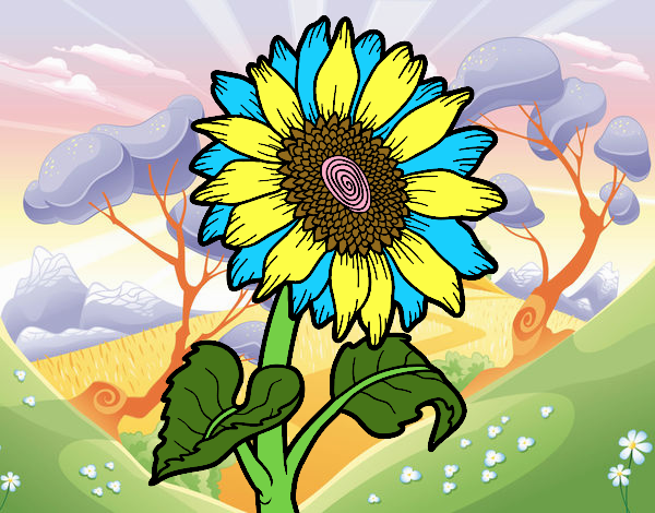 Flor de girasol