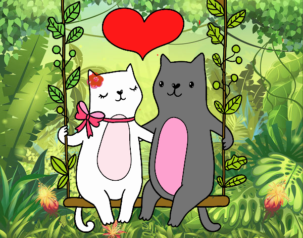 Los gatos enamorados