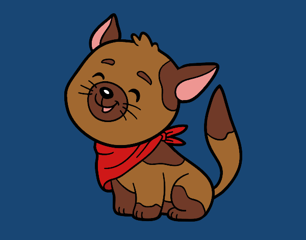 Gato con bandana