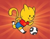 Gato jugando a fútbol