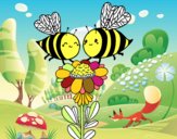 Pareja de abejas