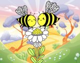 Pareja de abejas