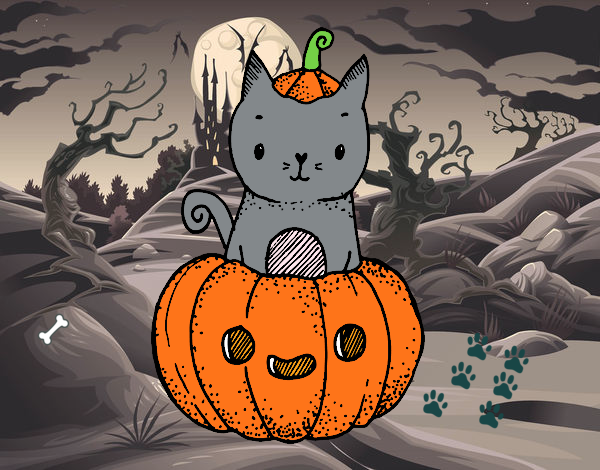 gatito hallowen 