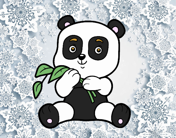 Un oso panda