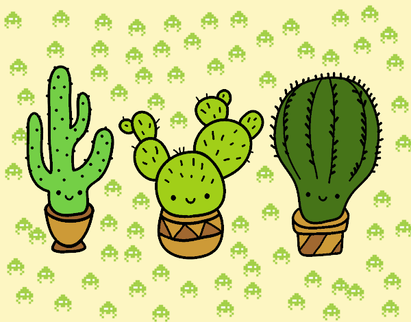 3 mini cactus