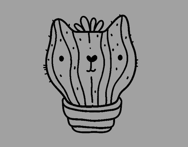 Cactus gato