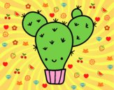 Cactus nopal