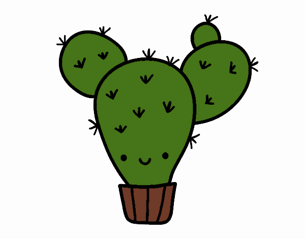 cactus nopal