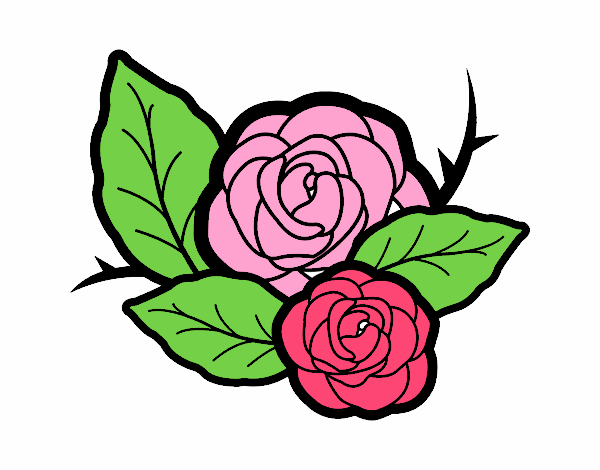 Dos rosas