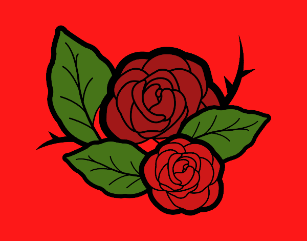 Dos rosas